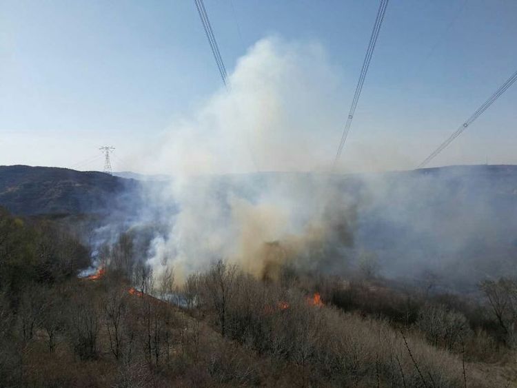 防山火在线监测装置 输电线路防山火的“秘密武器”